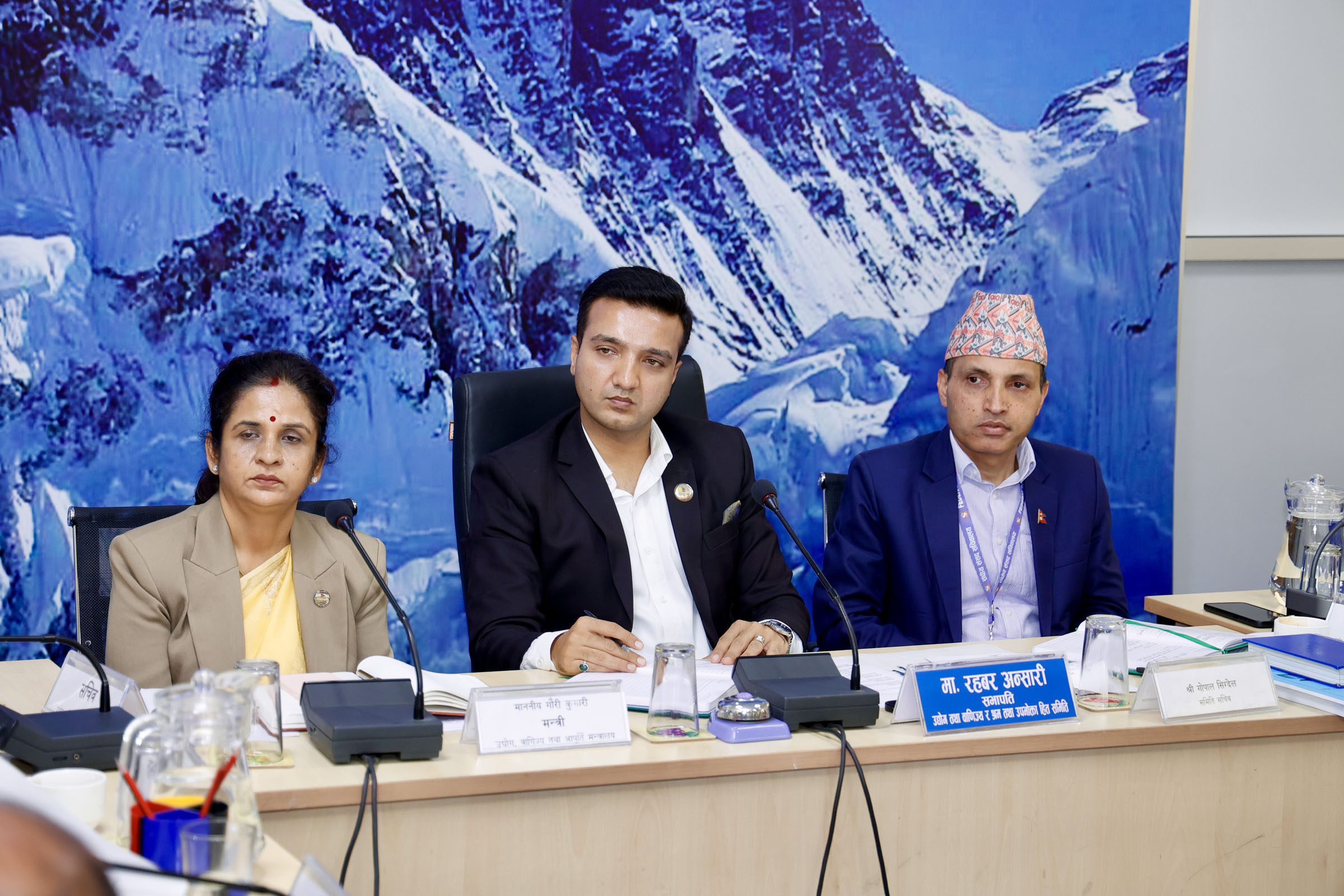 स्वदेशी उद्योगको प्रतिस्पर्धात्मक क्षमता बढाउन संसदीय समितिको निर्देशन