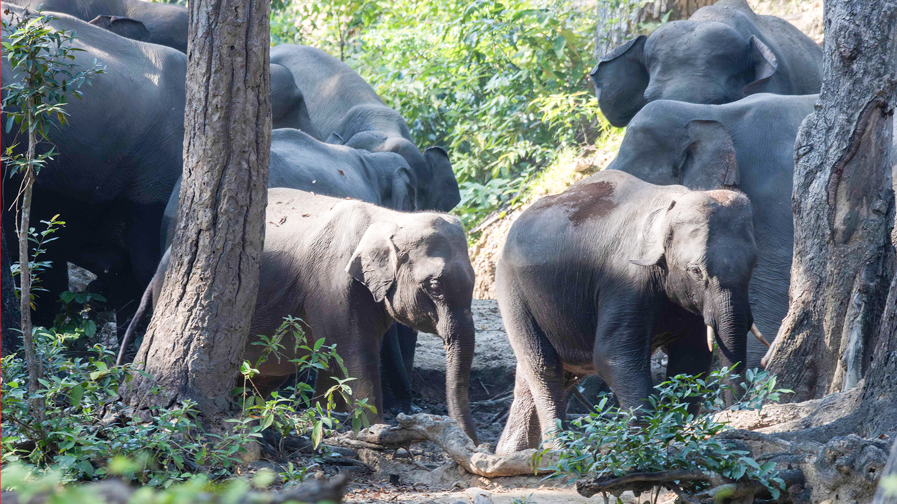 मेटिँदै परम्परागत बाटो, बढ्दै द्धन्द्धको जोखिम (तस्वीरहरू)