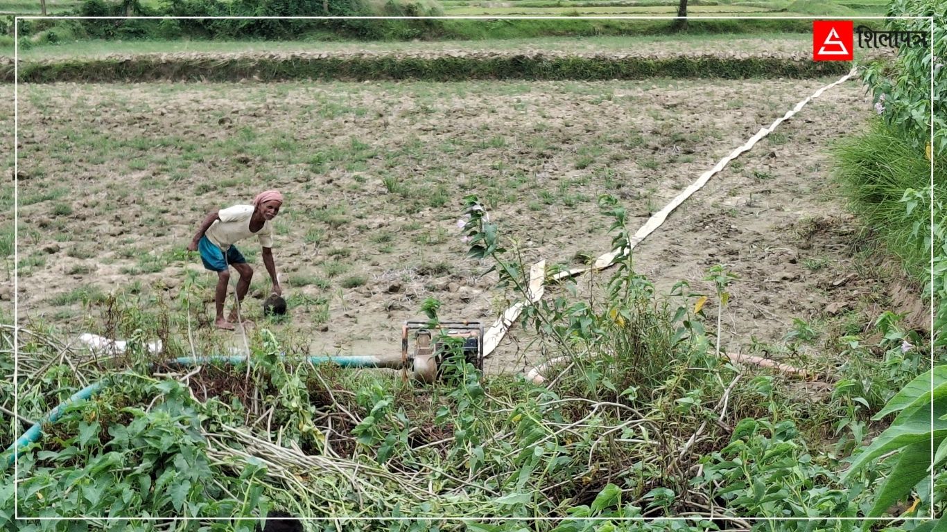 मधेशमा सिँचाइमा करोडौँ खर्च, तर आधाभन्दा बढी खेत अझै आकाशे पानीकै भरमा