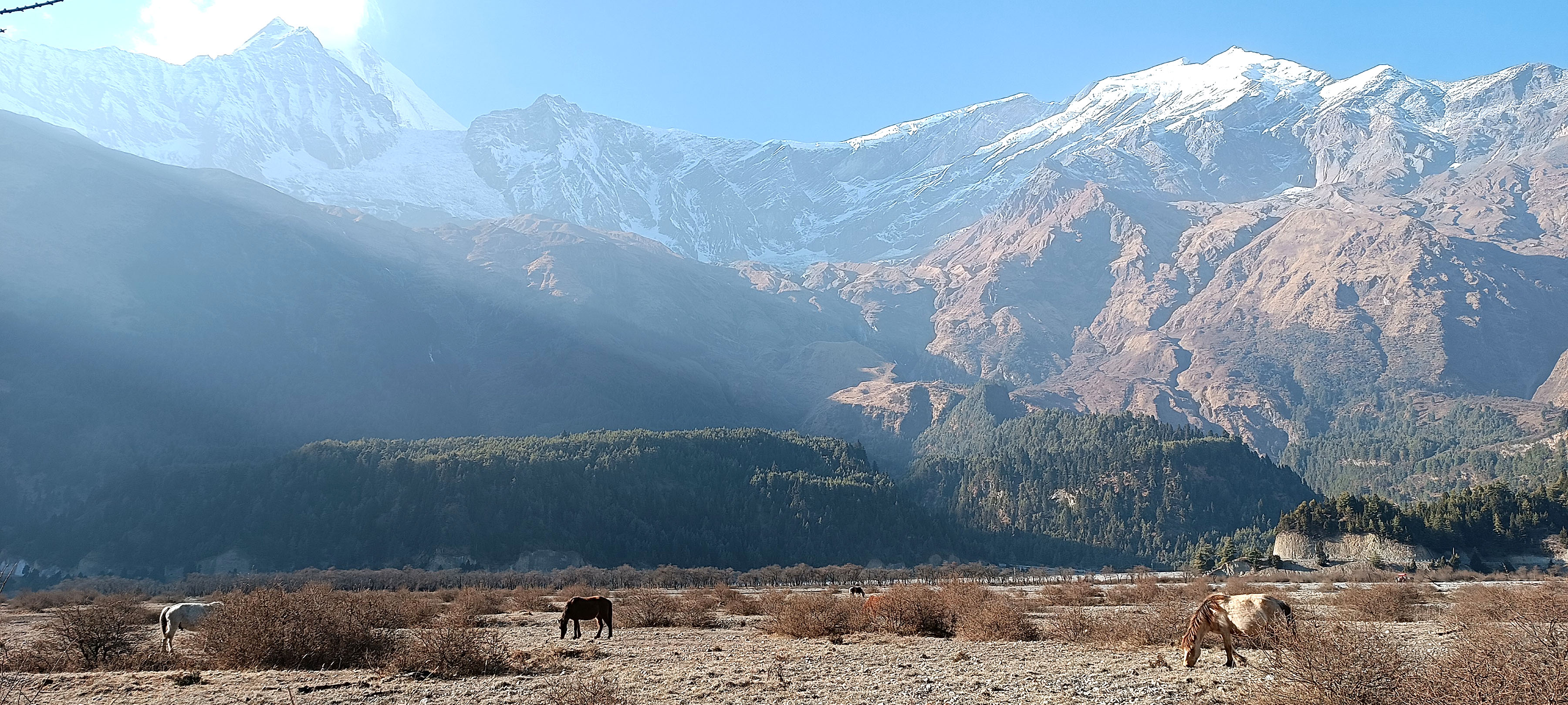 मुस्ताङमा पर्यटकको आगमन दोब्बरले बढ्याे