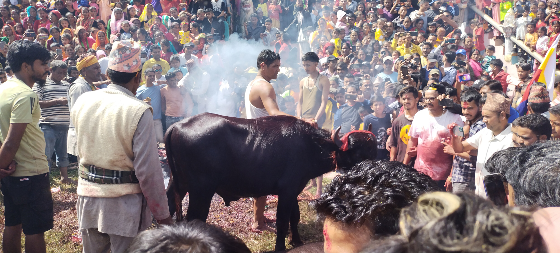 राँगोको मार हान्न ३ लाख १५ हजारको बोलकबोल 