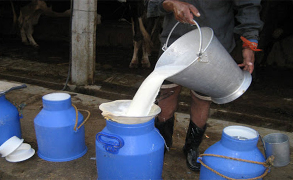 दूधको मूल्य बढाउन किसानको माग