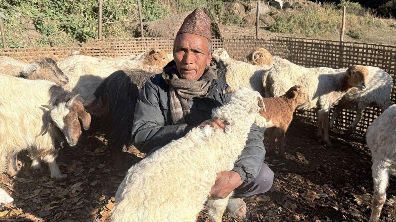 भेडागोठमा पाँच दशक बिताएका नरेन्द्रलाई पढ्न नपाएकोमा पछुतो