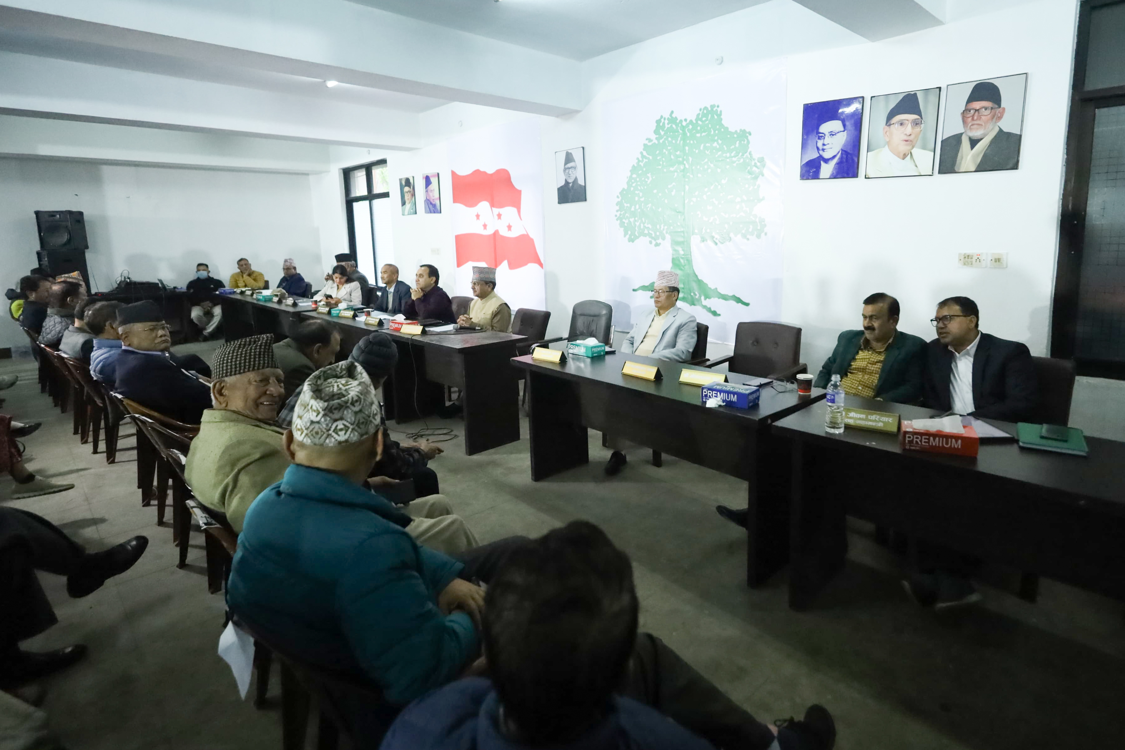 कांग्रेस केन्द्रीय समिति बैठकमा आज १५ जनाले राखे धारणा