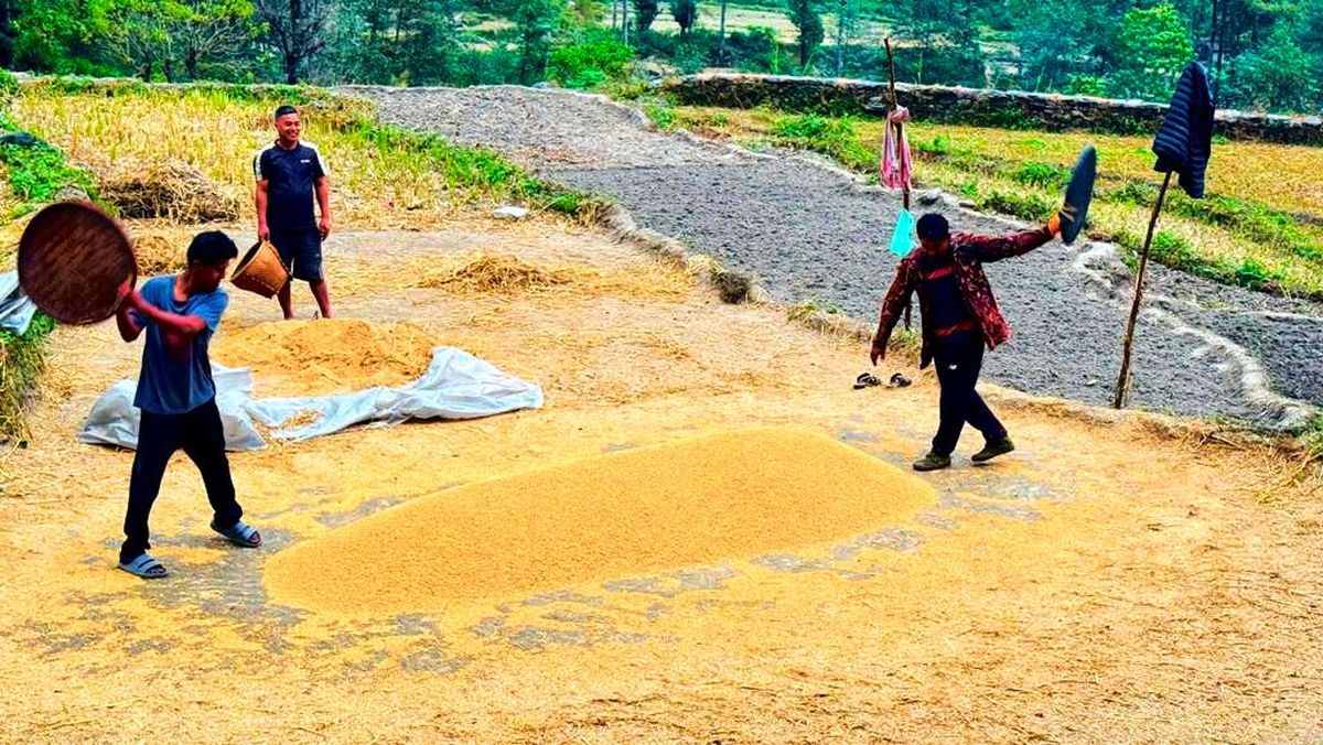 पर्वतमा कृषिजन्य वस्तुको कारोबारबाट ६५ करोडभन्दा बढी रकम भित्रियो