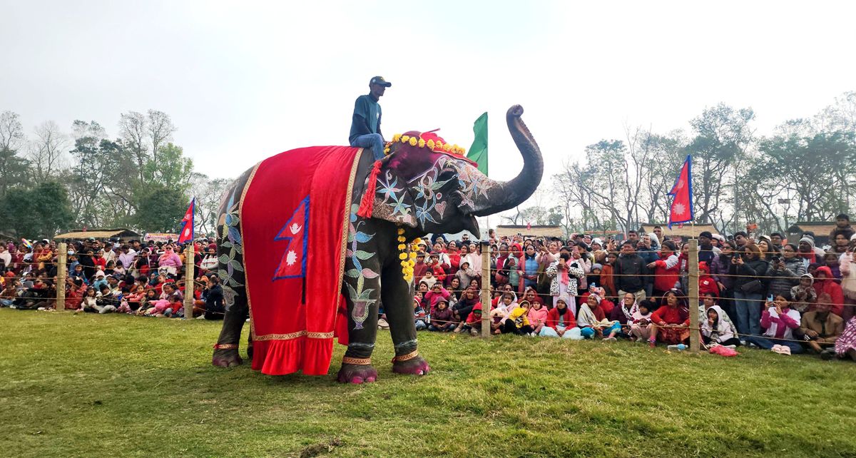 २५० अंक प्राप्त गर्दै चालीस वर्षीया पुनमकलीले जितिन् ‘मिस हात्ती सुन्दरी–२०८२’को उपाधि