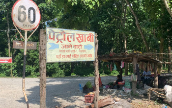 मोरङको पेट्रोल खानी गौचरणमा परिणत