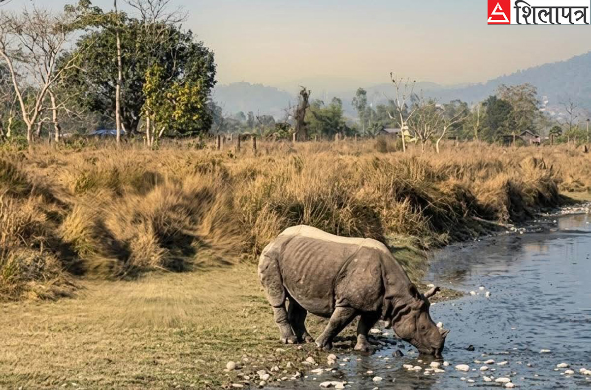 जलप्रदूषण फैलाएकाे भन्दै चौधरी 'ग्रुप'विरुद्ध उजुरी, छानबिन गर्न समिति गठन