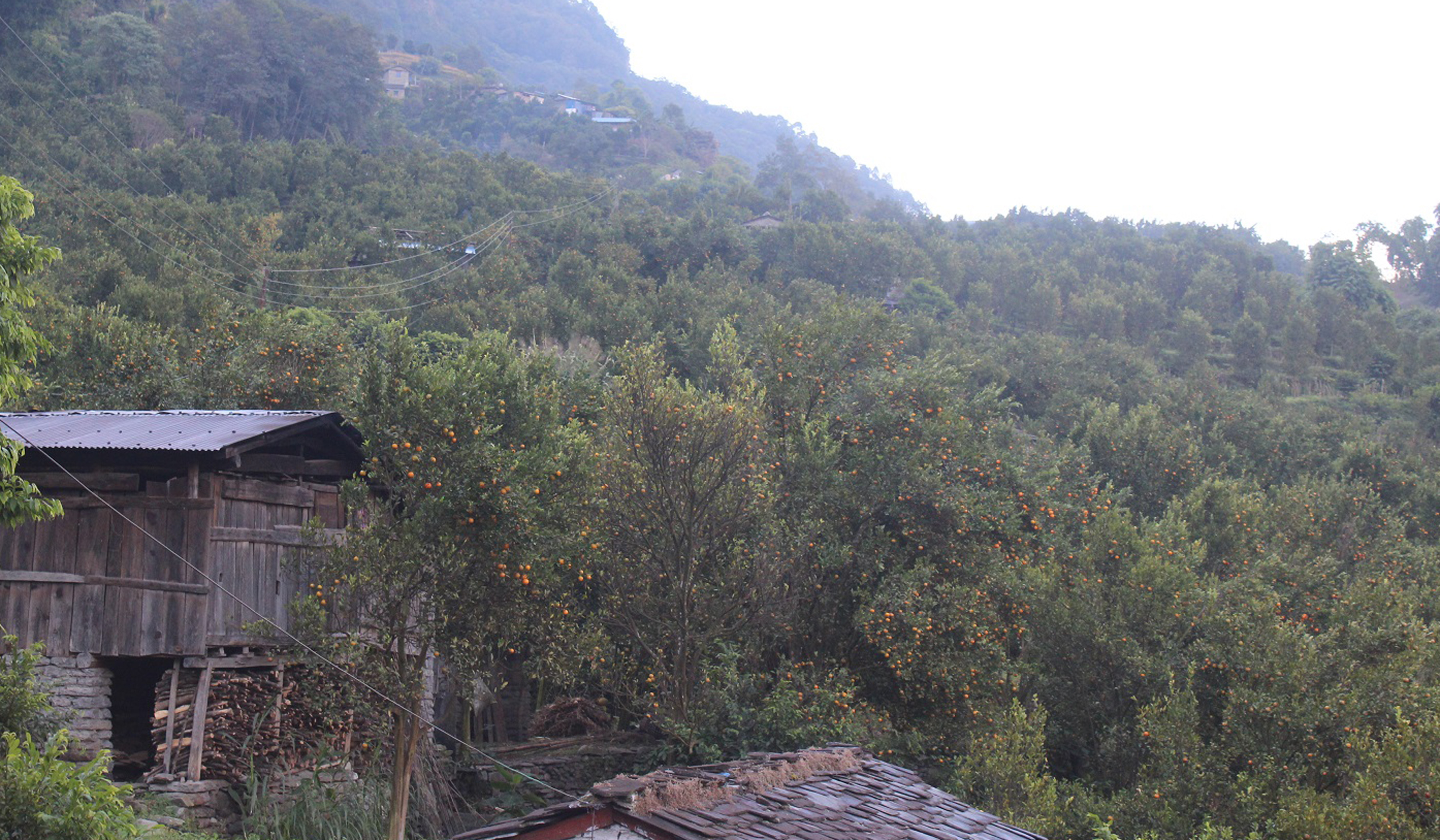 सुन्तलाको बगैँचा पस्न डराउँछन् दोसल्लेवासी