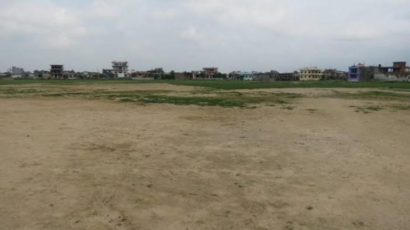 सिद्धार्थ रगंशाला : १० वर्षमा १० प्रतिशत  काम