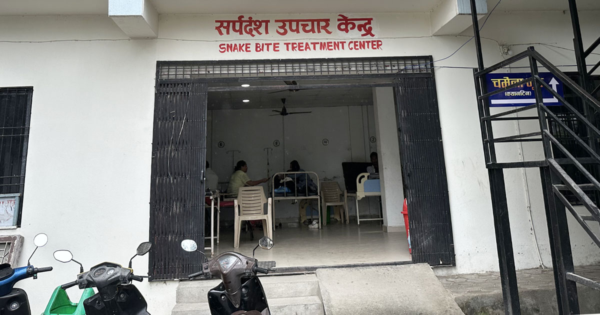 समयमै उपचार नपाउँदा सर्पदंशका बिरामीले गुमाउँदै छन् ज्यान