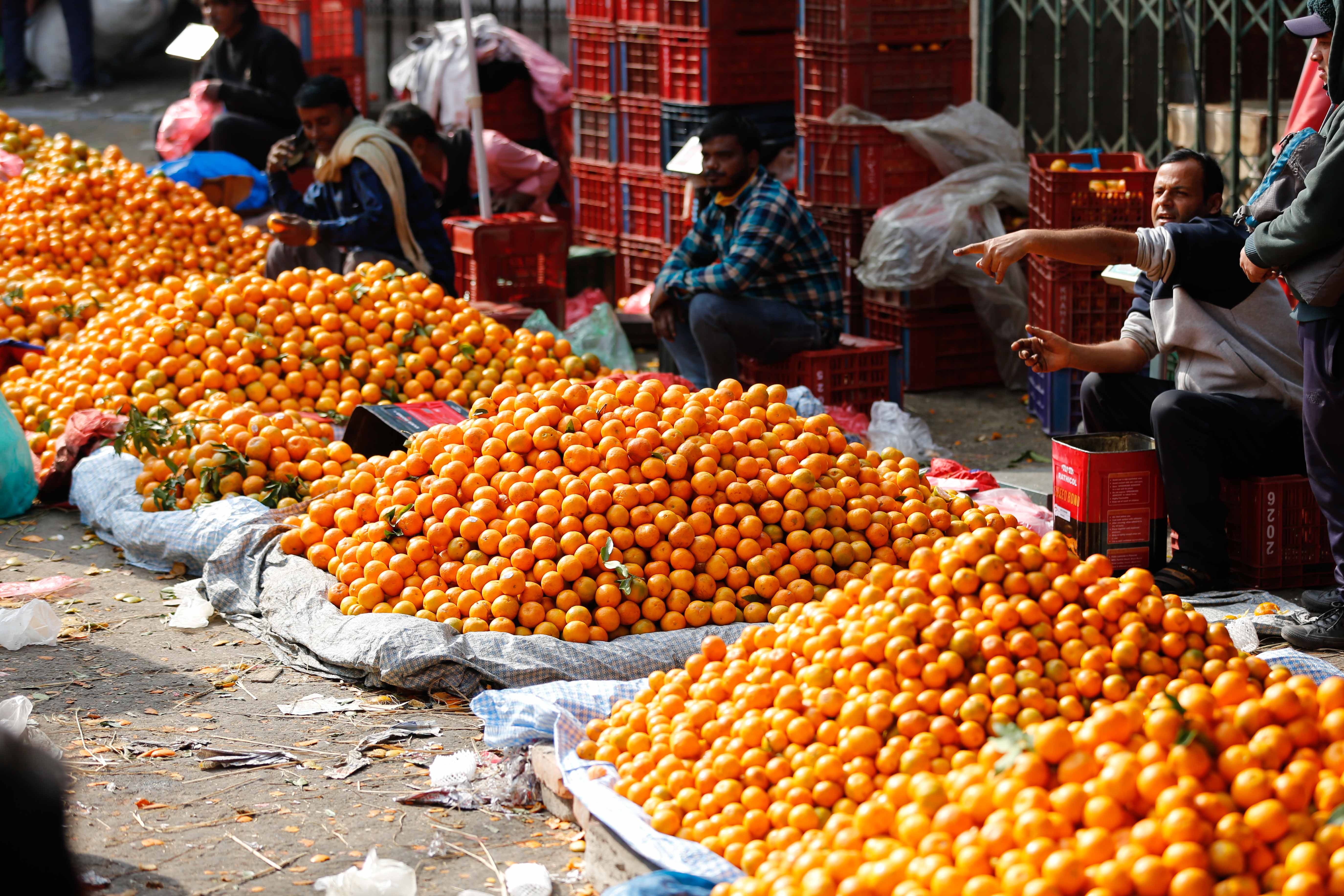 कालीमाटीमा सुन्तला व्यापार (तस्वीरसहित)