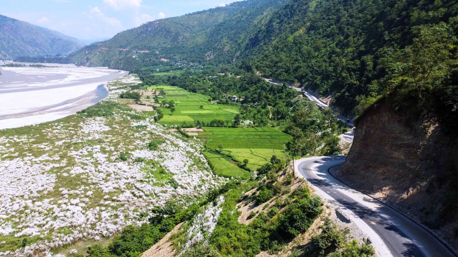 तमोर किनारमा ढकमक्क काँस (फोटो फिचर)