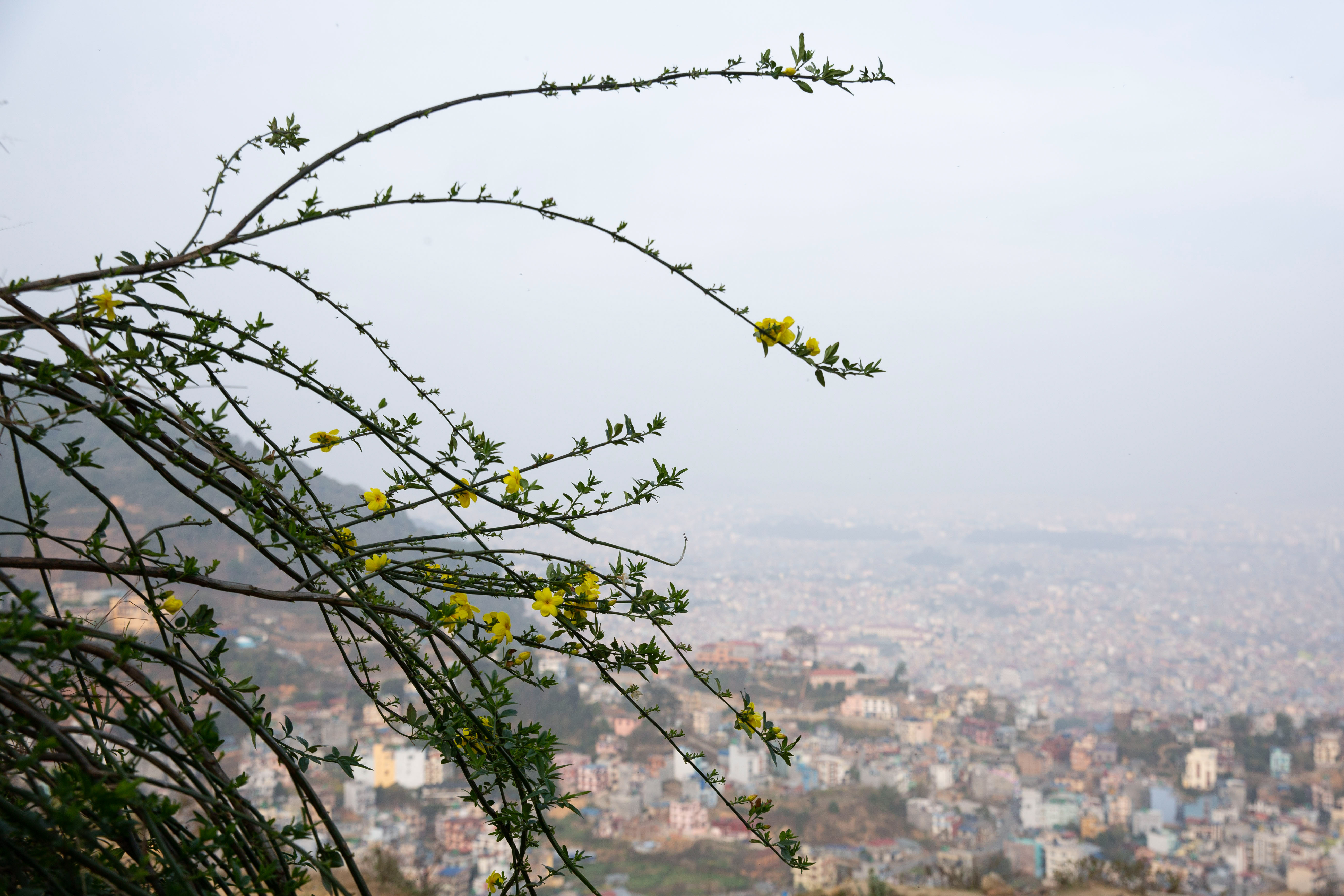 पहाडमा वर्षा र हिमपात, तराईमा हुरीको चेतावनी