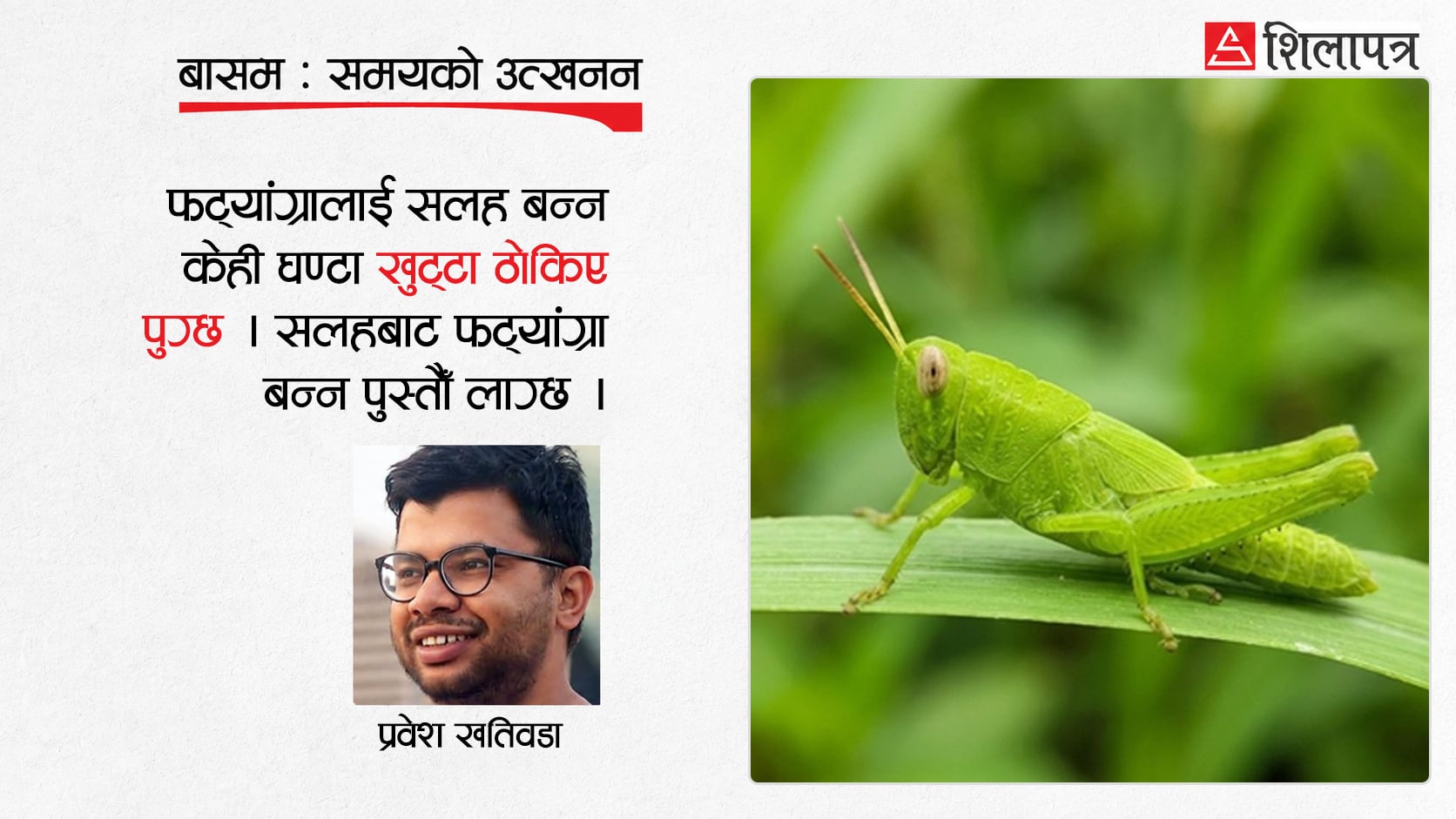 एकान्तका प्रेमी, भिडका दास: एकान्तमा रमाउने फट्याङ्ग्रा सर्वभक्षी सलहको बथान कसरी बन्छ ?