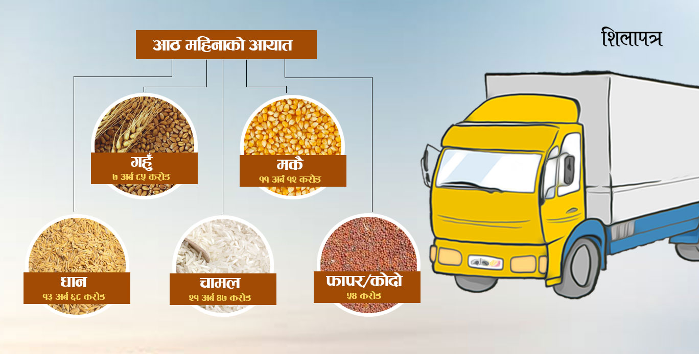 खाद्यान्नमा नेपालको परनिर्भरता बढ्दो, १३ अर्बको धान र २१ अर्बको चामल आयात
