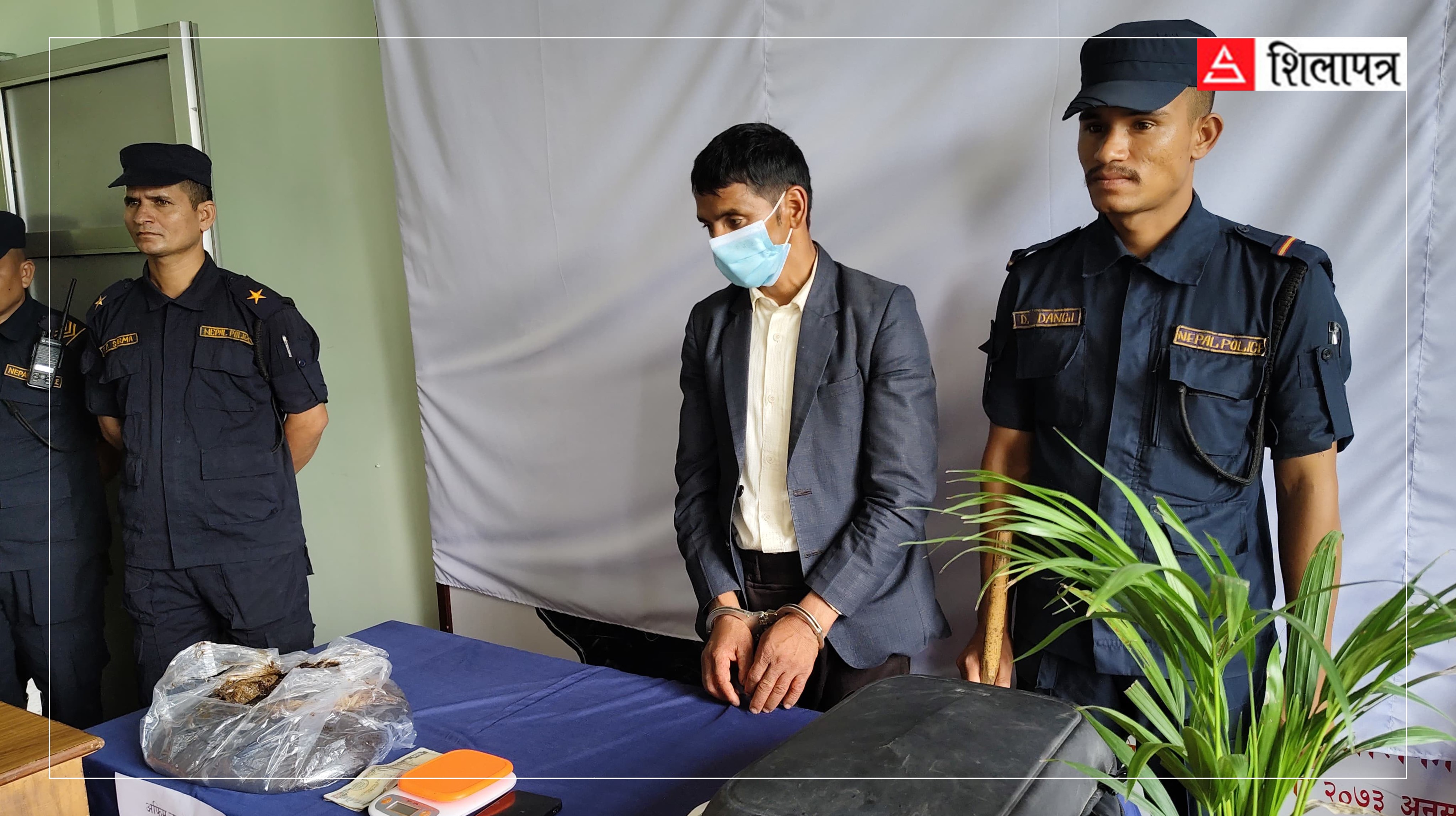 छिटो धनी हुने लोभमा ठूलो कानुनी सजाय नजरअन्दाज गर्दा अफिम खेती र ओसार्ने भरिया यसरी पुग्छन् जेल