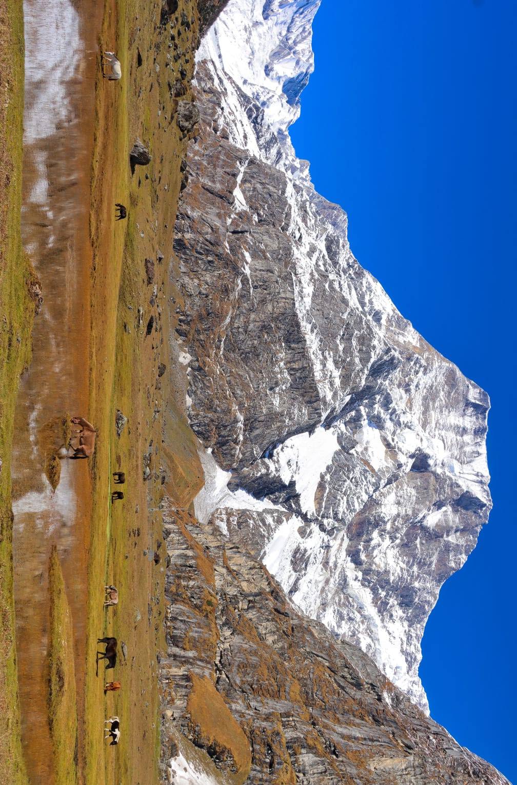 कर्णाली र सुदूरपश्चिमका हिमाल आरोहणमा सलामी शुल्क छुट, अपि हिमालका अध्यक्ष भन्छन्– पर्यटनको ढाेका खुल्यो