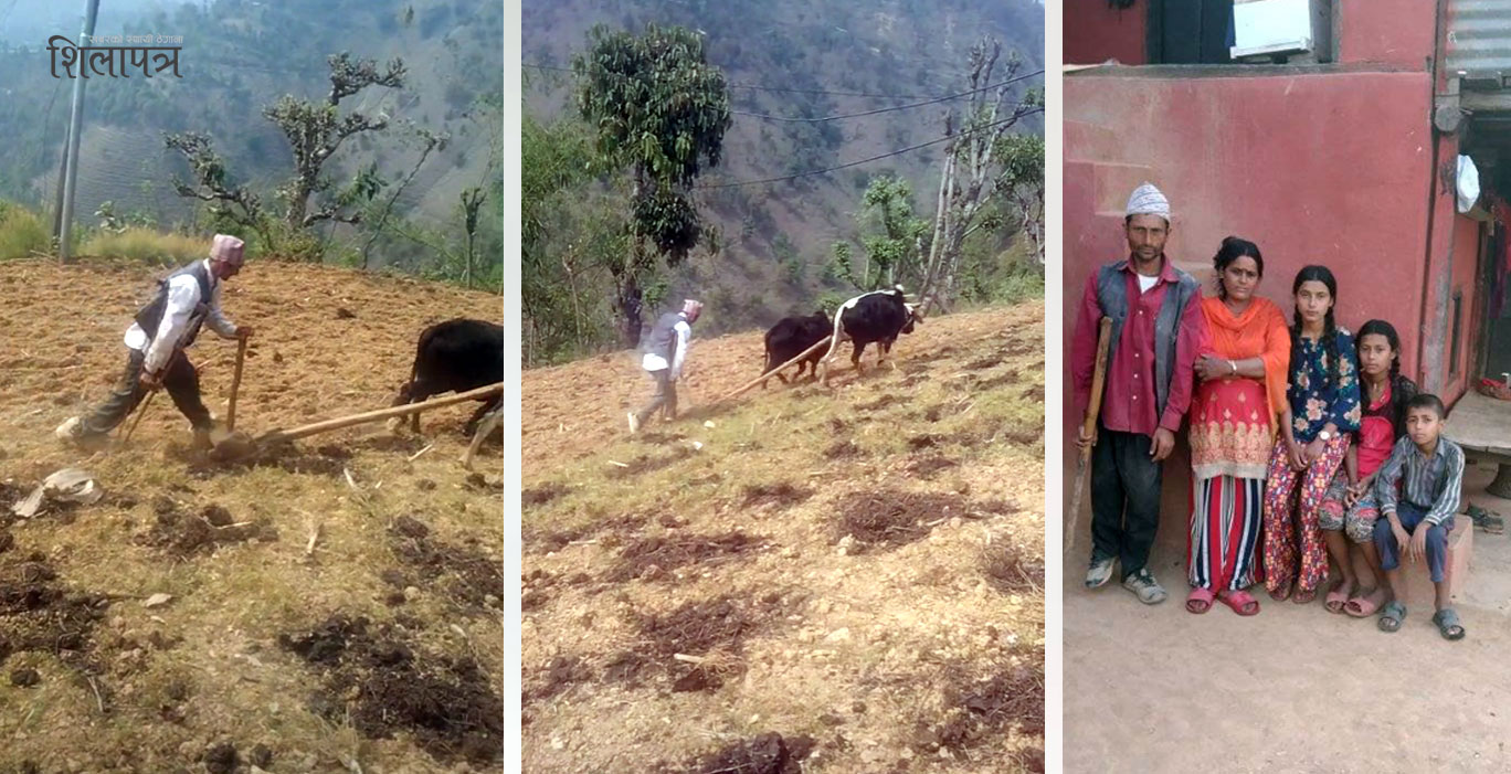 वैशाखी टेकेर बारीमा जोत्दै गरेका रामचन्द्र