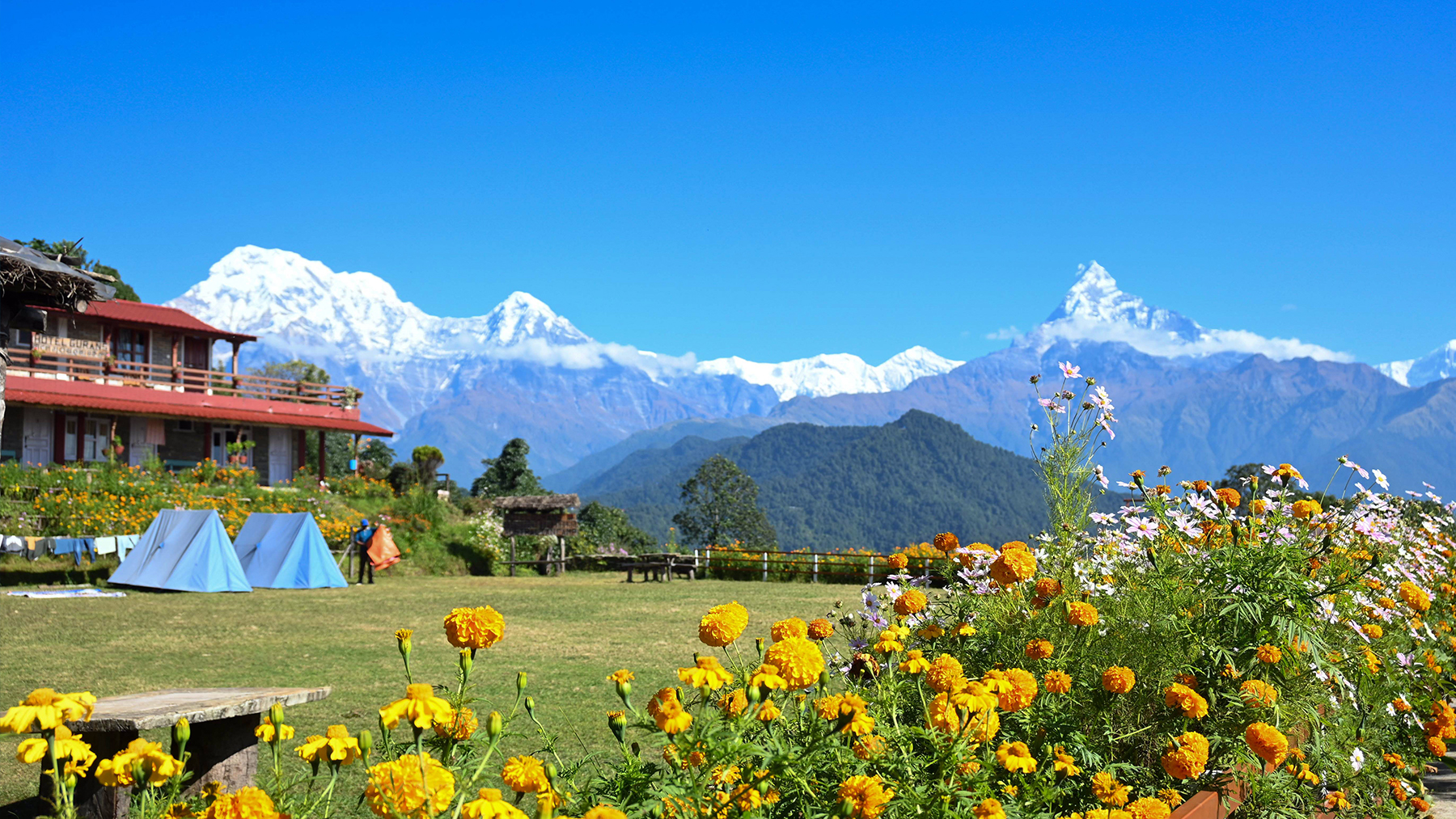 ११ तस्वीरमा हेर्नुहोस् अस्ट्रेलियन बेस क्याम्प