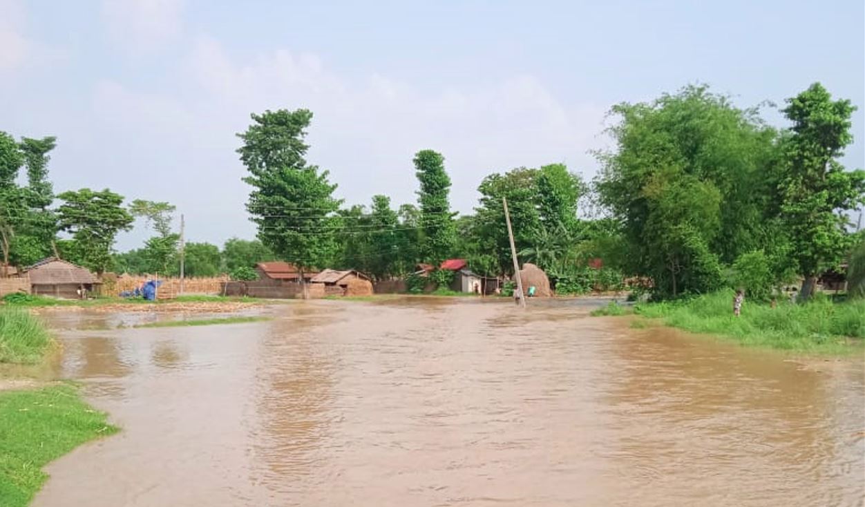 झापामा माइखोलाको बाढी बस्तीमा पस्यो, २२ घर डुबानमा