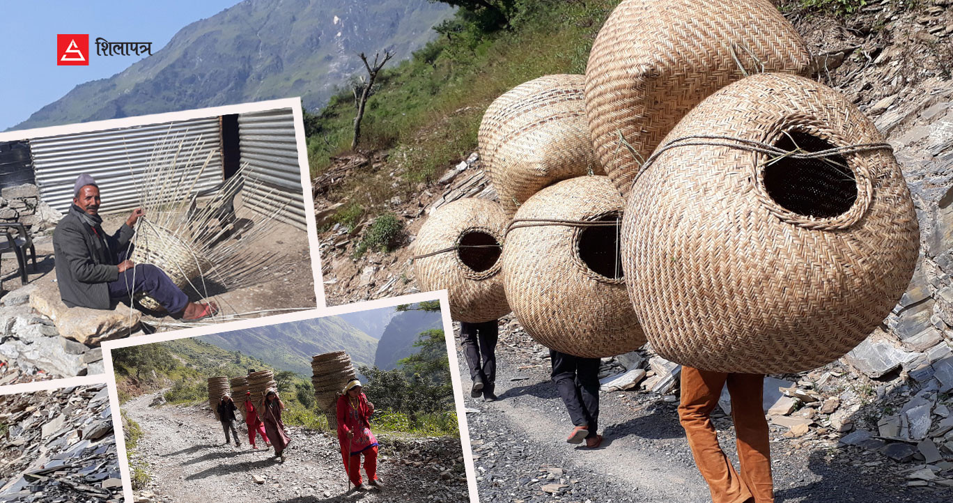 बझाङमा निगालोका सामग्रीको राम्रो व्यापार, संरक्षणमा सरकारले दिएन ध्यान