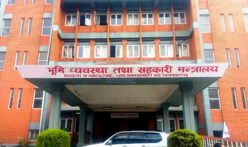 शुल्क नबुझाई वर्षौंदेखि प्रयोगमा रहेका सरकारी जग्गा खाली गर्न सरकारको निर्देशन