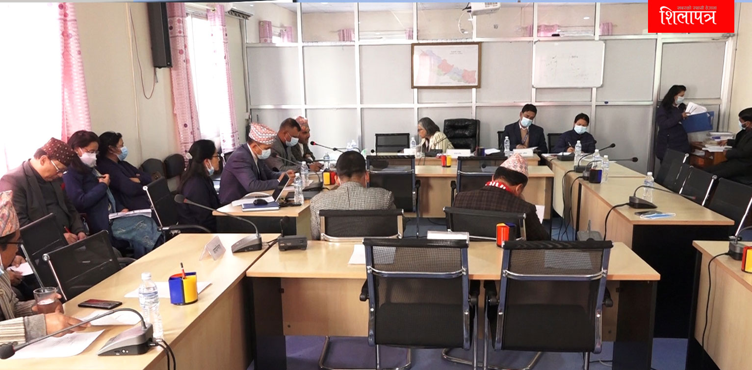 सरकारलाई संसदीय समितिको निर्देशन- टेलिकमको इन्टरनेट सेवा गुणस्तरीय बनाउने कार्ययोजना पेस गर्नू 