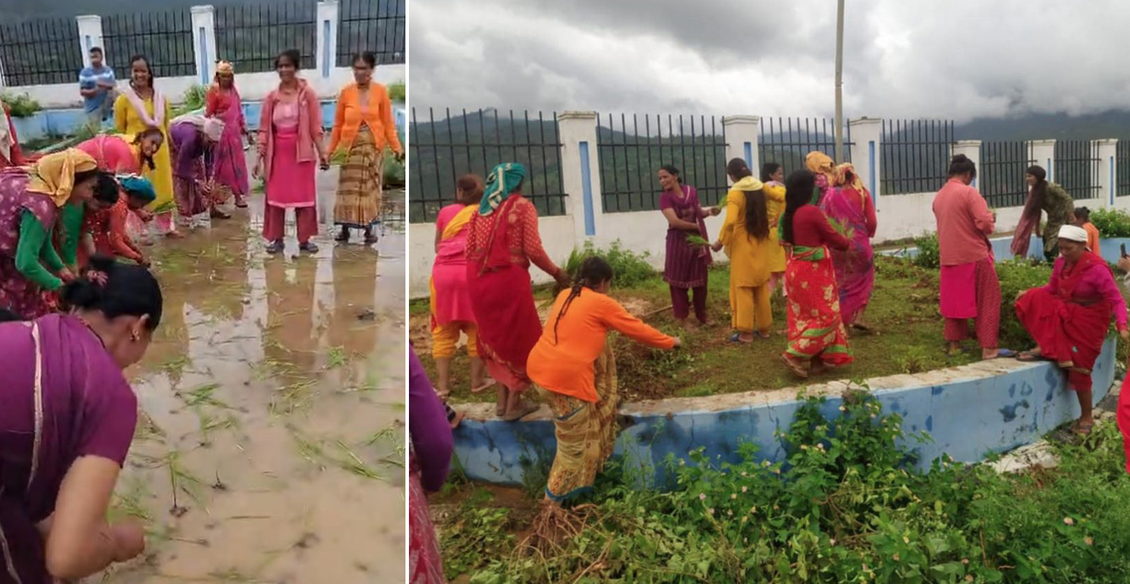 नयाँ शहरको बसपार्क अलपत्र, विरोधस्वरुप गरियो रोपाइँ