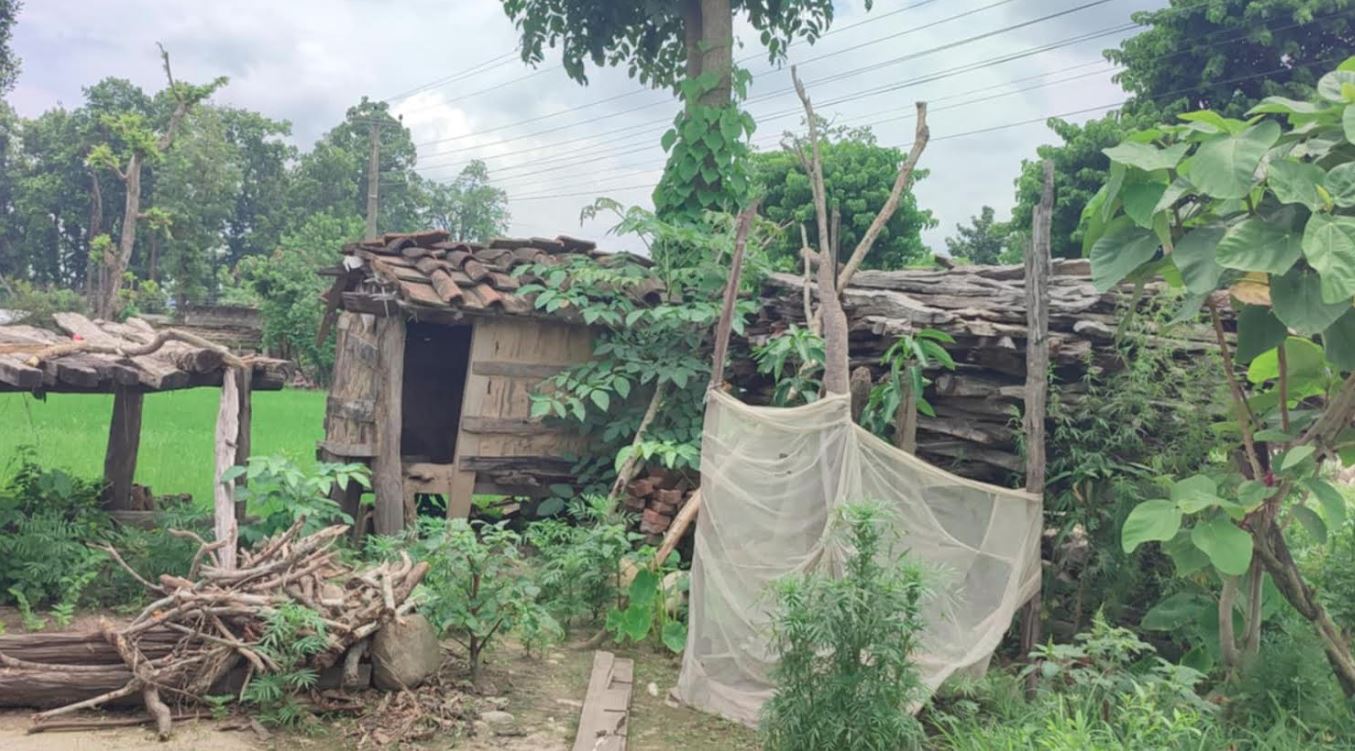 कञ्चनपुरमा छाउगोठ भत्काउन विशेष अभियान चलाइने 