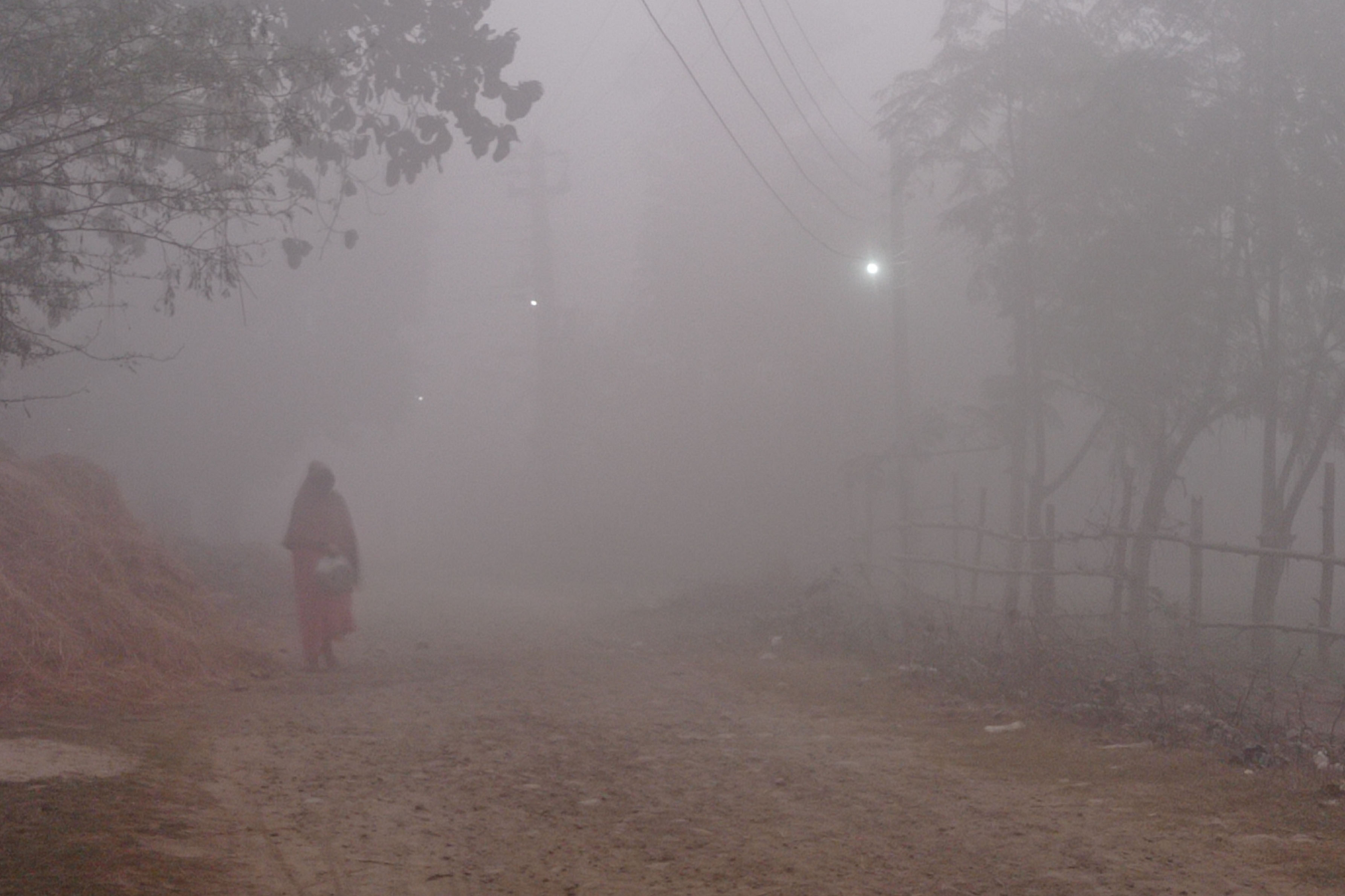 चिसो बढेपछि वीरगञ्जमा जनजीवन प्रभावित, प्रशासनले बाँड्यो दाउरा