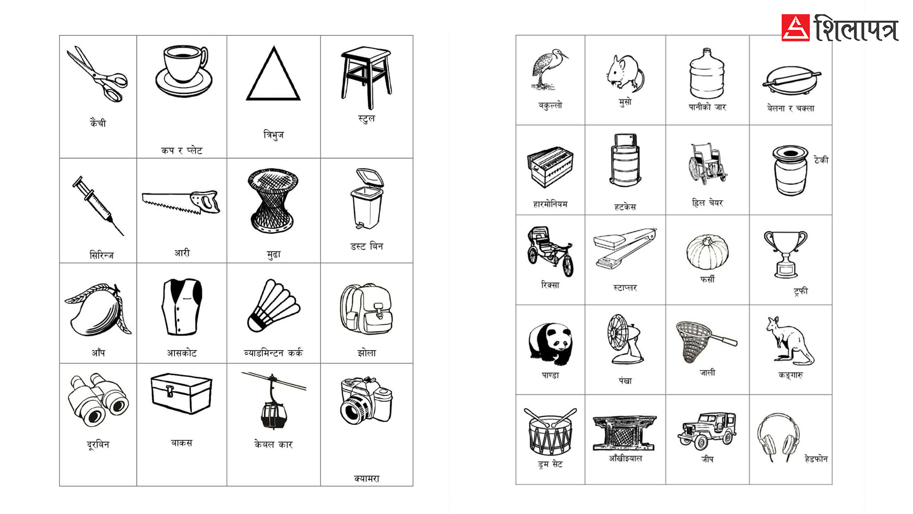 स्वतन्त्र उम्मेदवारका चुनाव चिह्न: आँपदेखि ह्याङ्गरसम्म
