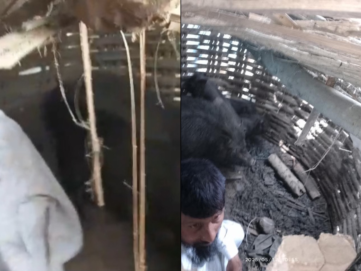 सुँगुरको खोरमा थुनेर मान्छेमाथि कुटपिट,चार जना पक्राउ