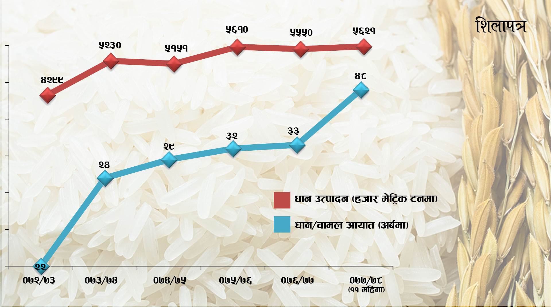 एक परिवारले किन्छन् २१० किलो विदेशी धान-चामल, आधा खर्ब रुपैयाँ पुग्यो विदेशी बजारमा