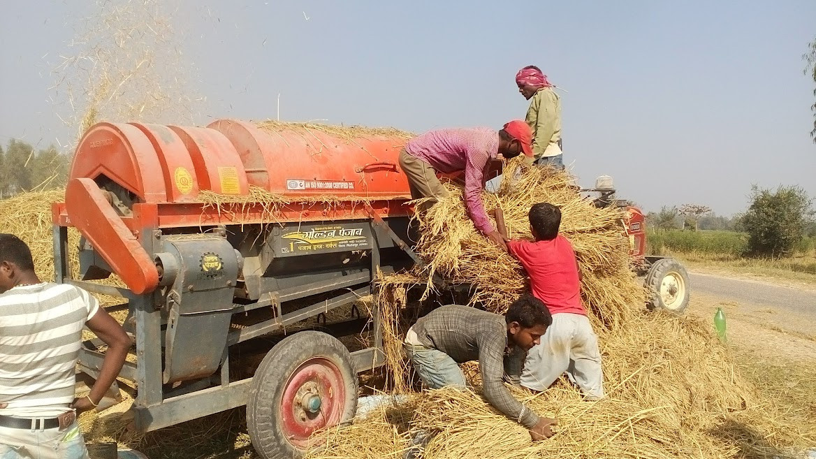 सरकारले धानको मूल्य कम तोकेपछि व्यापारीलाई धान बेच्दै किसान