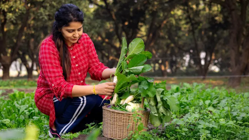 कोलेस्टेरोल नियन्त्रण गर्न के खाने, के नखाने?