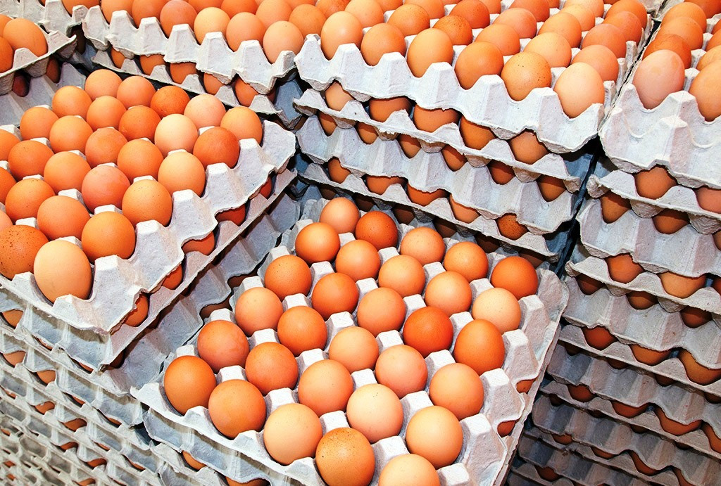 अण्डाको मूल्यमा वृद्धि