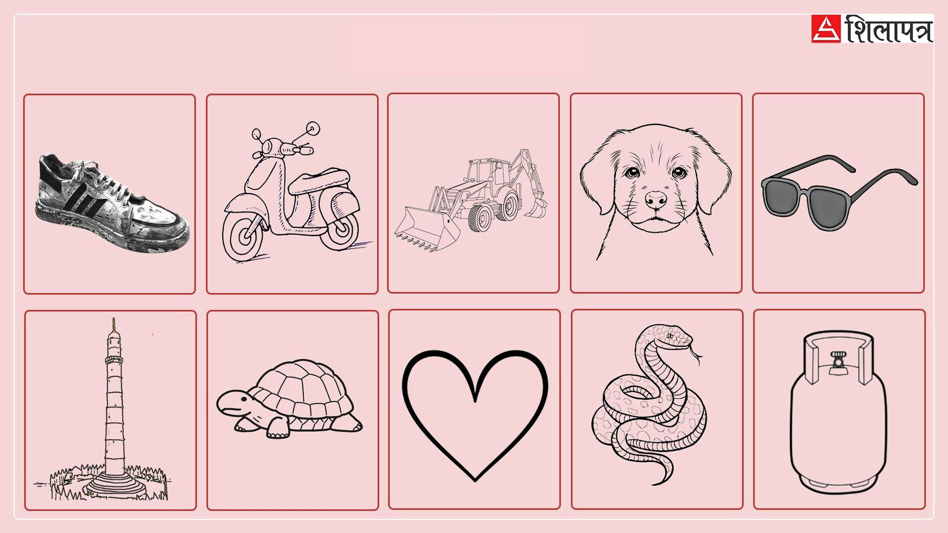 जेन–जी आन्दोलनको भाइरल जुत्तादेखि कुकुरको टाउकोसम्म, यस्ता छन् चुनाव चिह्नका रोचक किस्सा