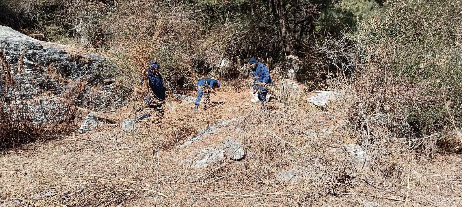 मुस्ताङको टिटी तालछेउका ४ हजार बोट गाँजा नष्ट