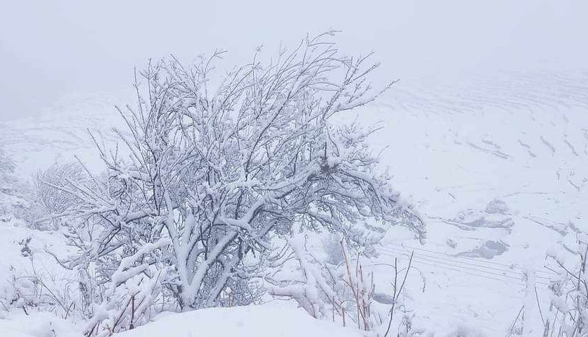 पाथीभरासहित ताप्लेजुङका उच्च हिमाली क्षेत्रमा हिमपात