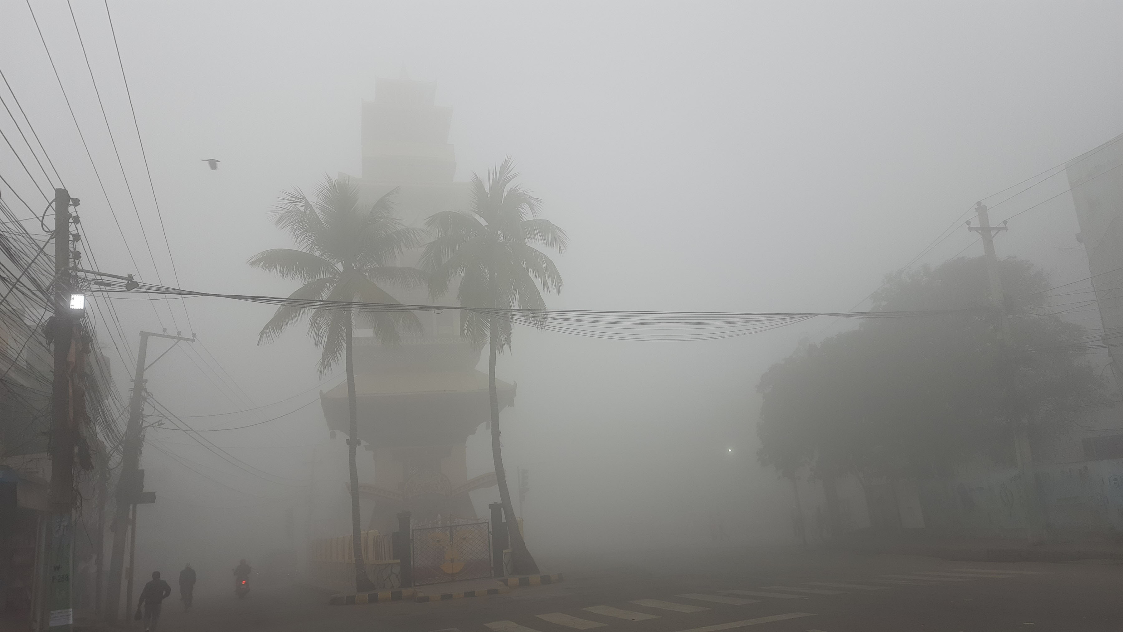 तराईमा दिनभर हुस्सुको सम्भावना