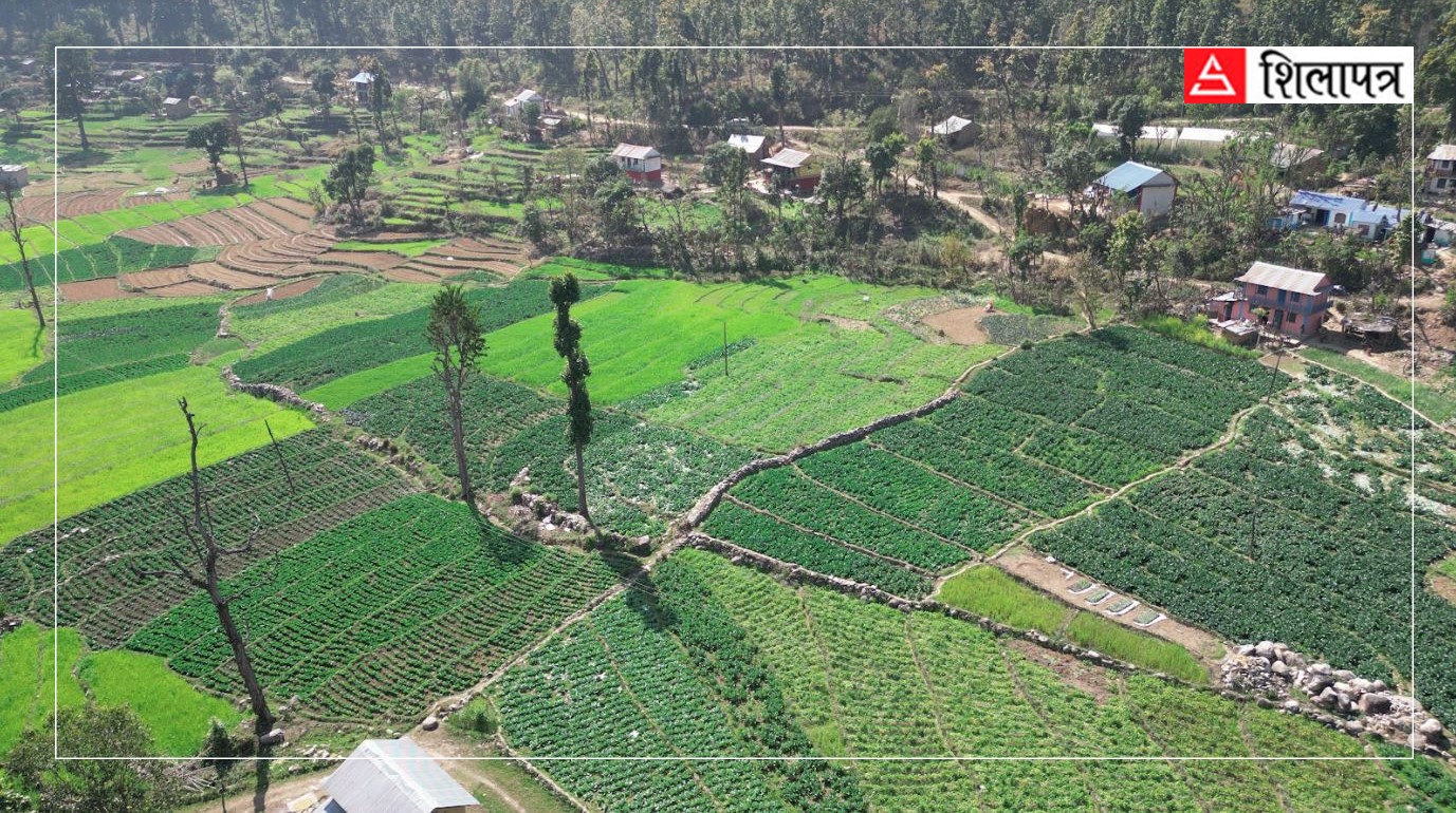 कर्णालीमा तरकारी र फलफूल उत्पादनमा वृद्धि
