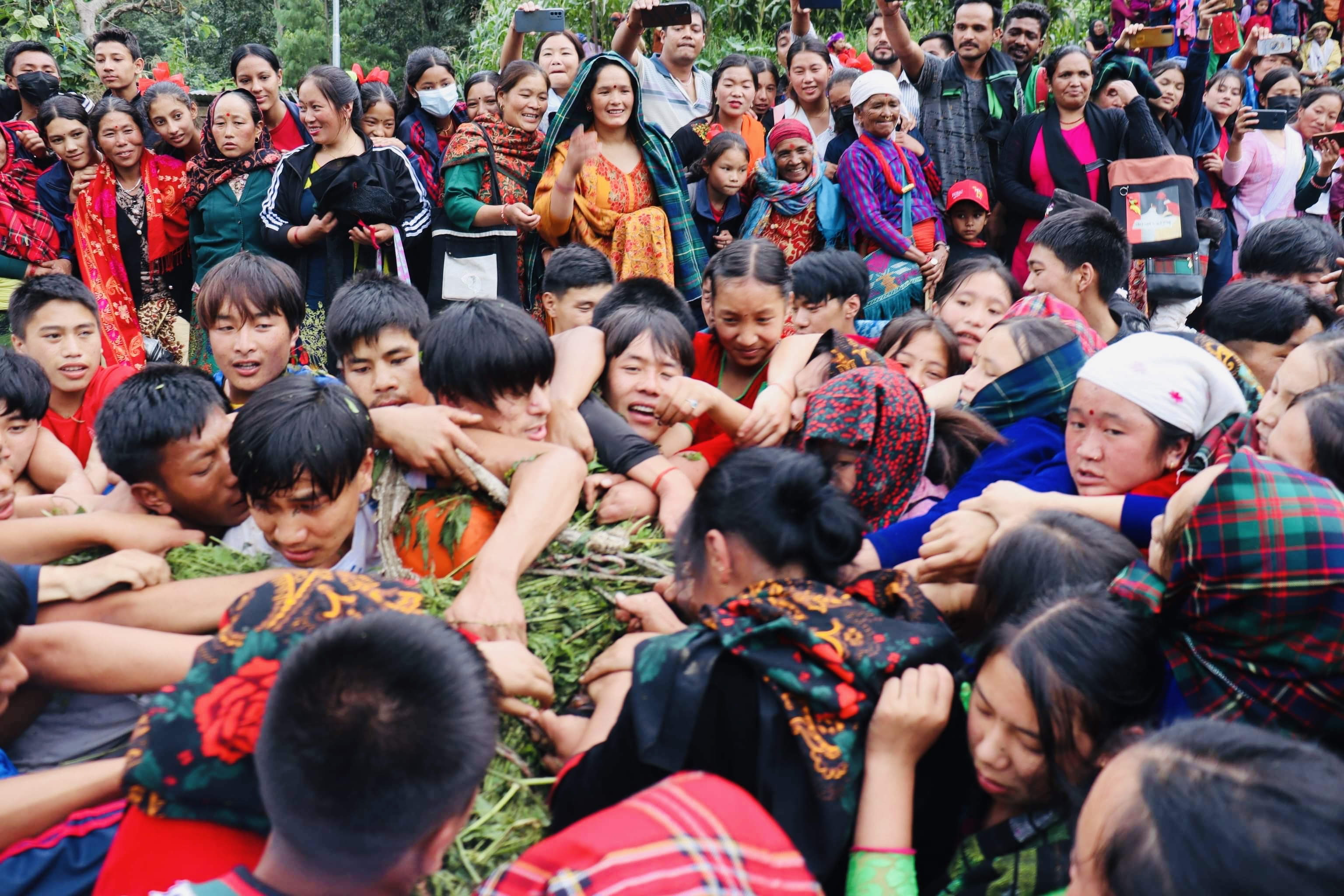 अविवाहित युवायुवतीबीच आत्मीयता बढाउने चार सय वर्ष पुरानो सिस्नो खोस्ने पर्व सकियाे