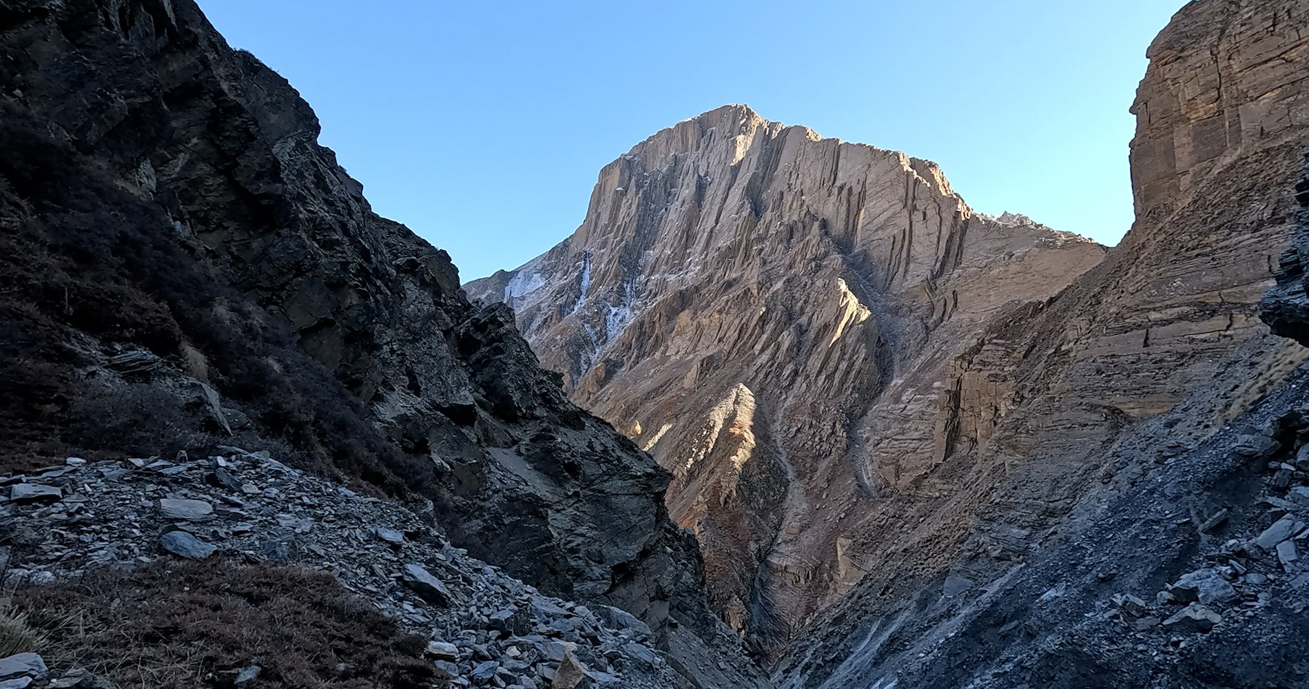 ज्यान लिने गरी बढ्न सक्छ गर्मी, ५५० प्रजाति धरतीबाट मासिने