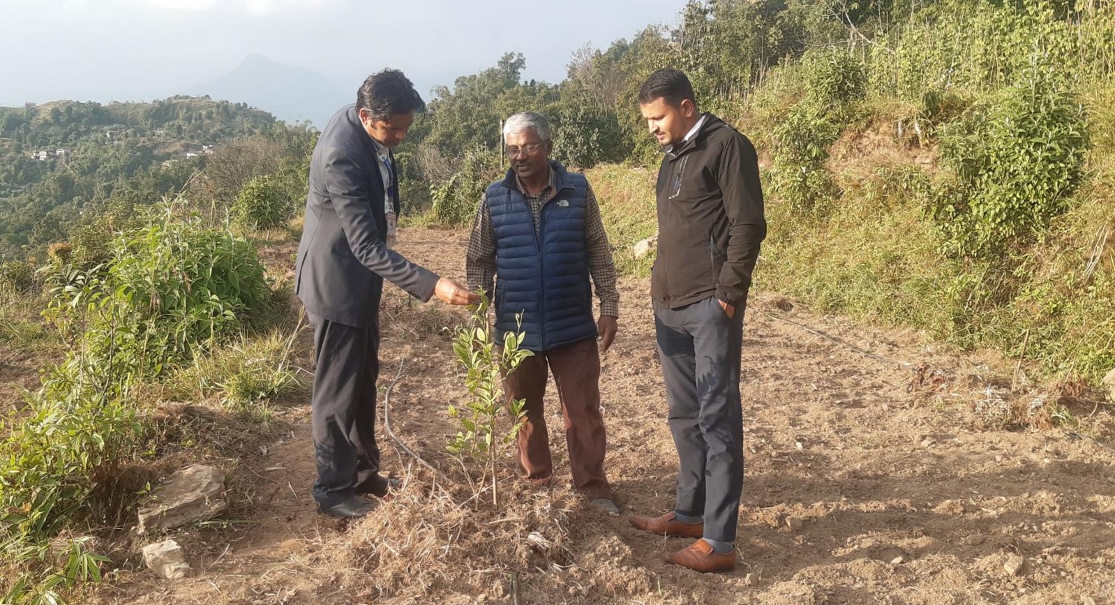 पोखराको बाँझो जग्गामा कागती खेती