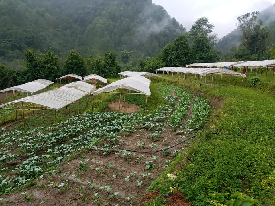 कृषि उत्पादन र रोजगारी सिर्जनमा जोड दिँदै झन्द्रेक सहकारी