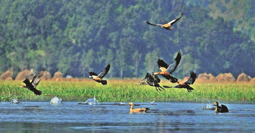 जलवायुको असर र अतिक्रमणको मारमा सिमसार