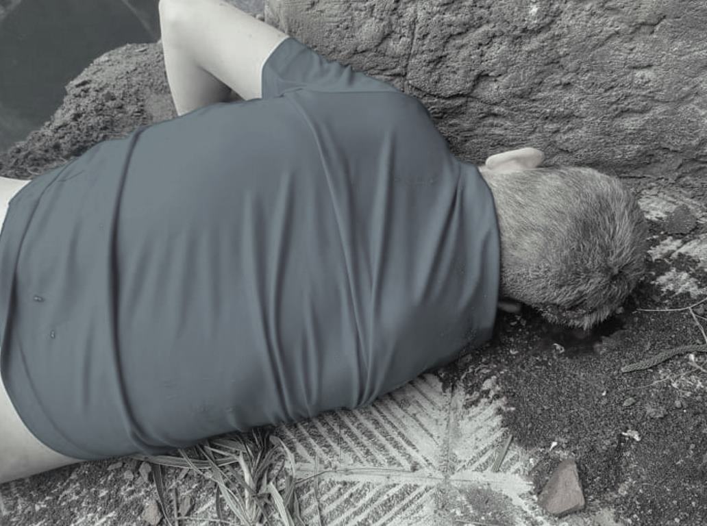 ठमेलस्थित  होटलको सातौँ तलाबाट खसेर विदेशी नागरिकको मृत्यु 