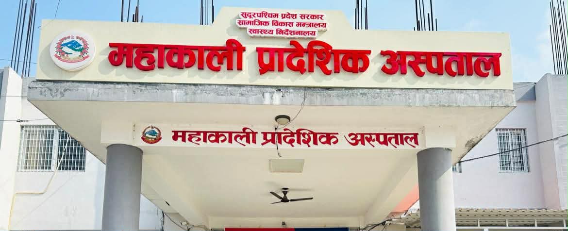 कञ्चनपुरमा कुकुर आतंक,  एकैदिन १६ जना घाइते