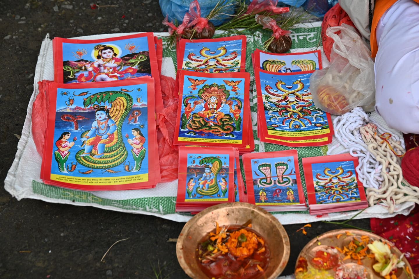 आज श्रावण शुक्ल पञ्चमी : नागको पूजा, आराधना गरी नागपञ्चमी पर्व मनाइँदै